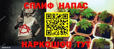 гидропоника Краснознаменск