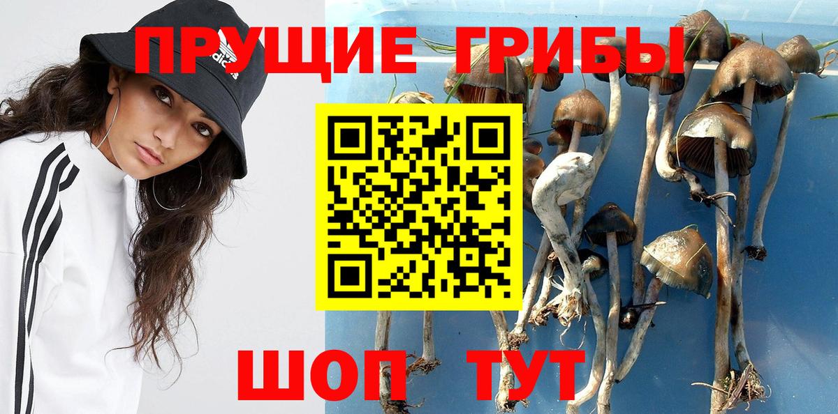 Чита  Галлюциногенные грибы Magic Shrooms  Вход с VPN 