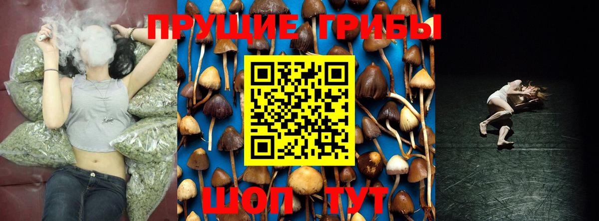Псилоцибиновые грибы прущие грибы Чита